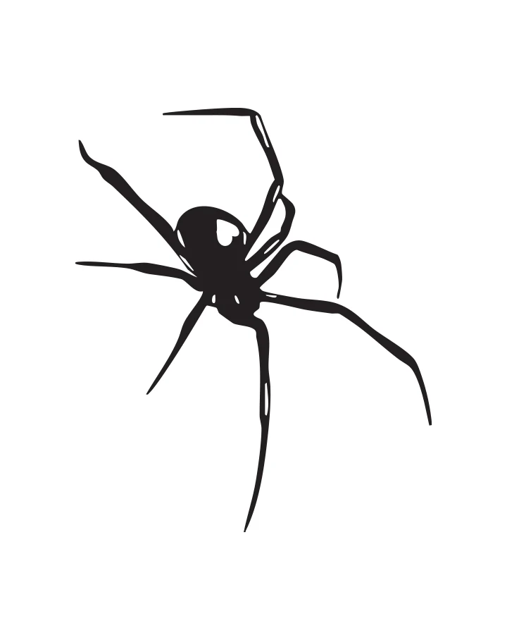 Shadow Spider - Image 8