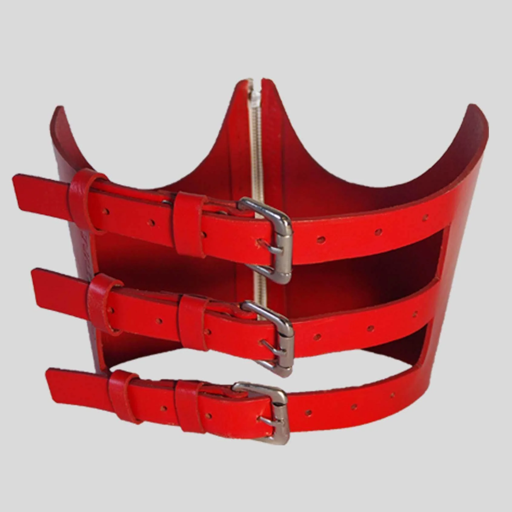 Subculture Phoenix Corset - Image 4