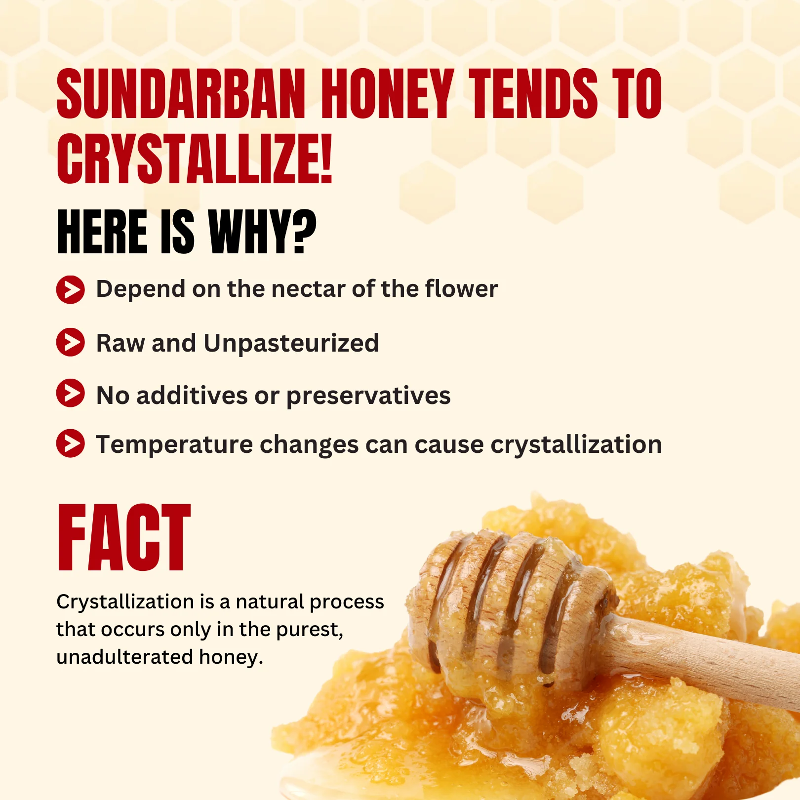 Sundarban Honey 400g | 100% Pure – Wild Forest Nectar for Immunity - Image 10