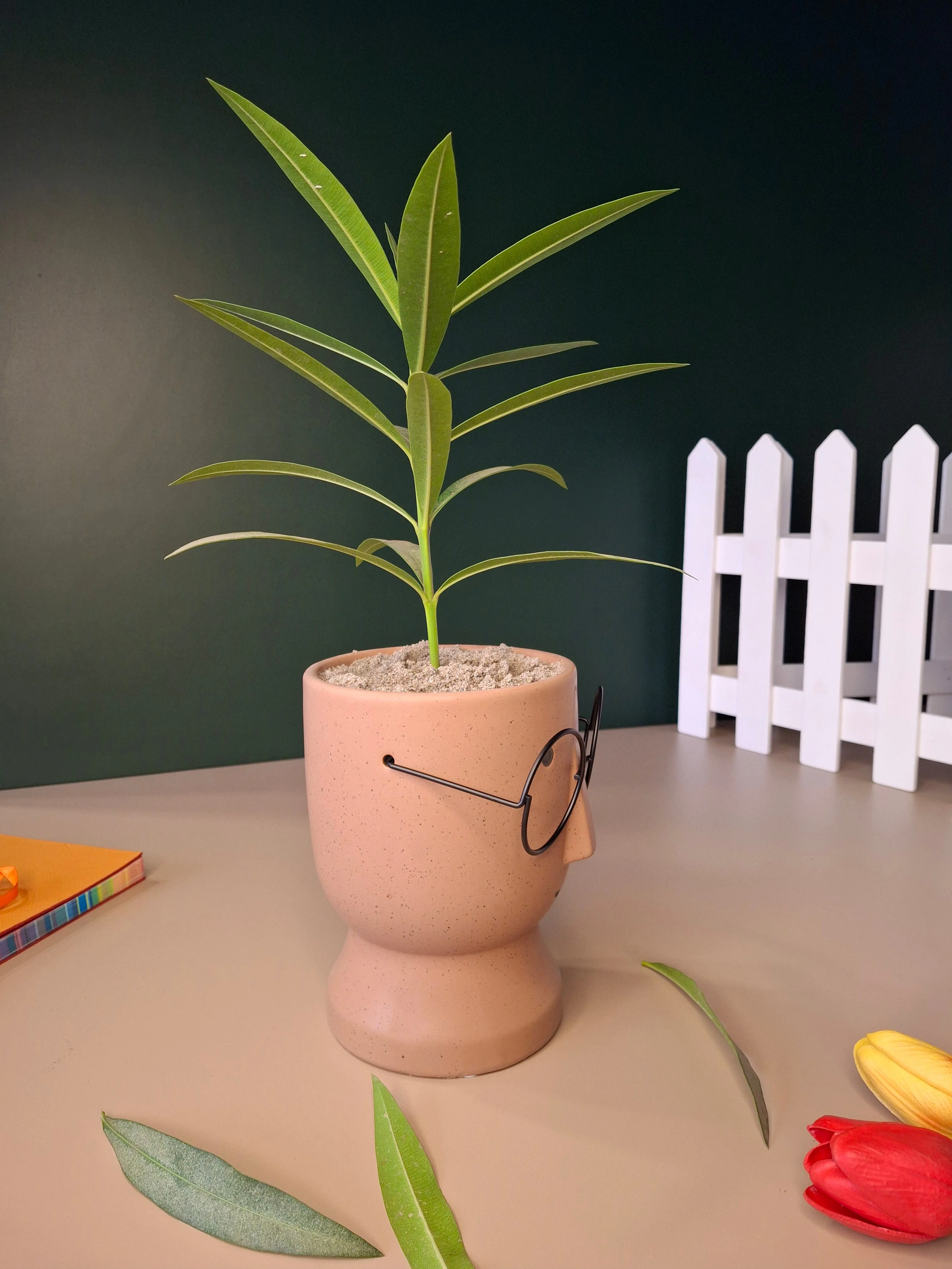 The Librarian Planter - Image 2