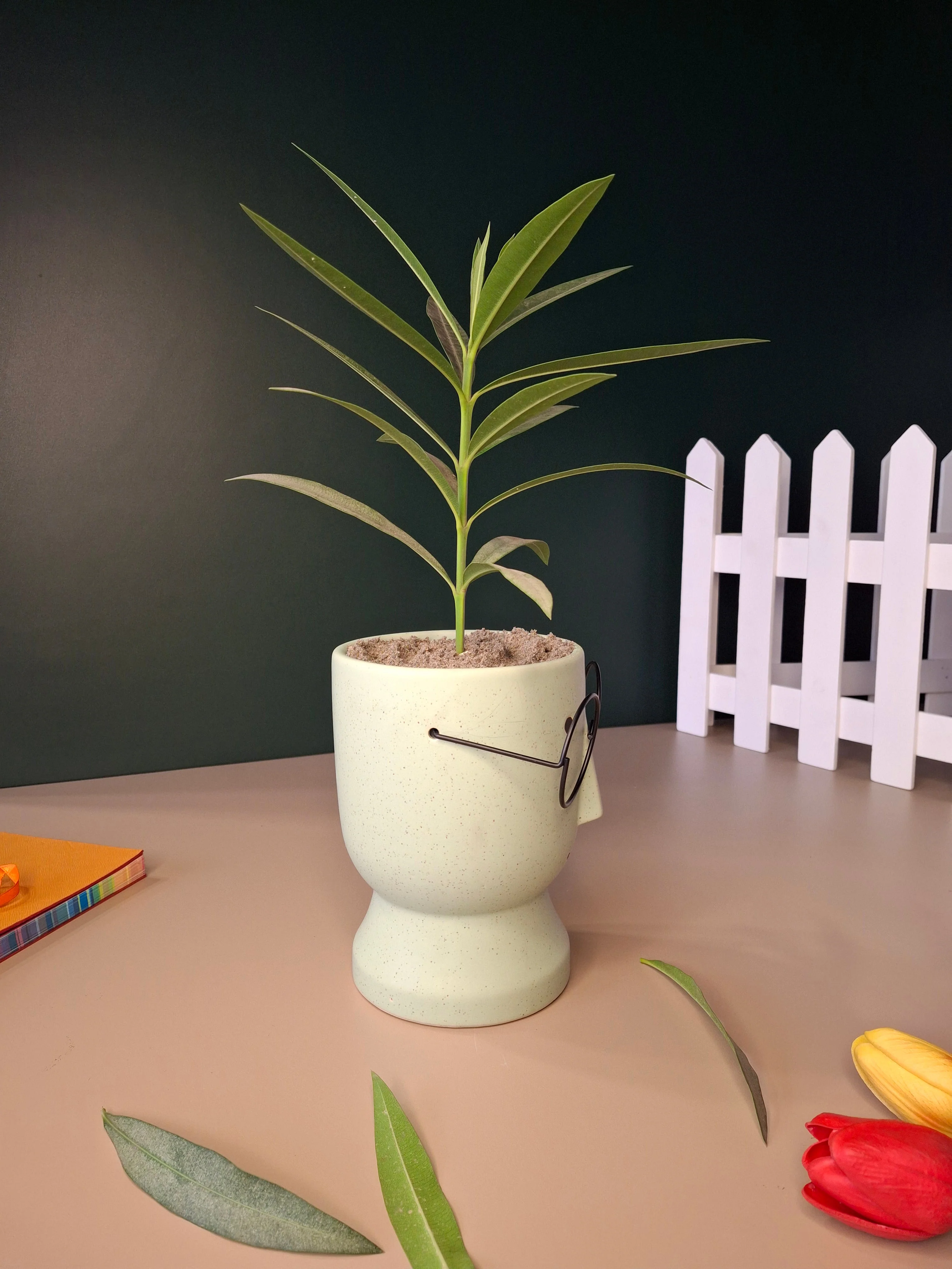 The Librarian Planter - Image 6