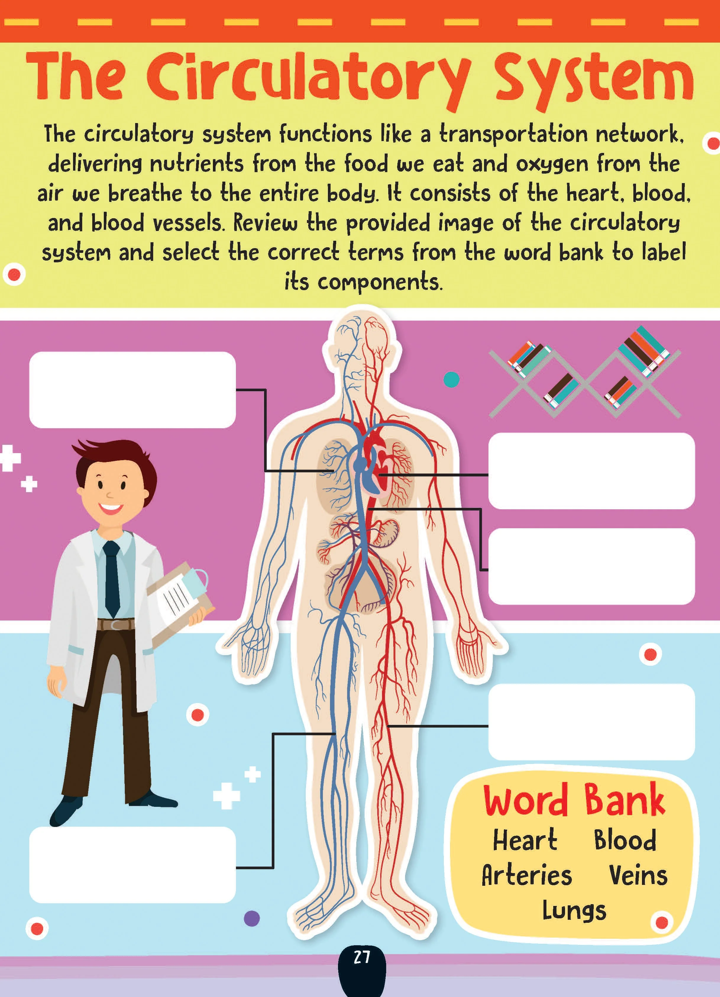 The Little Scientists Activity Book for Kids Age 6+ - Image 6