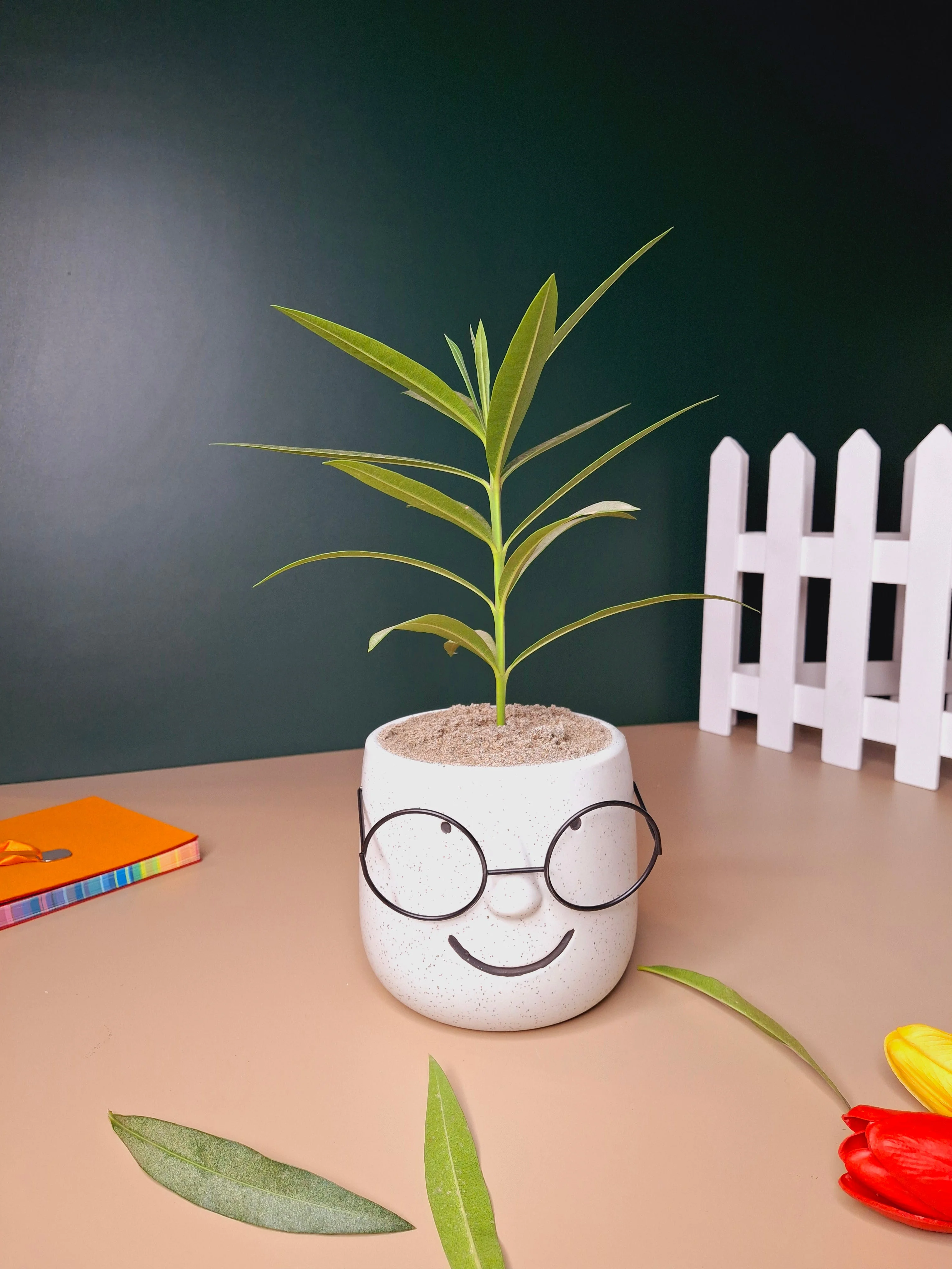 The Prodigy Planter - Image 5