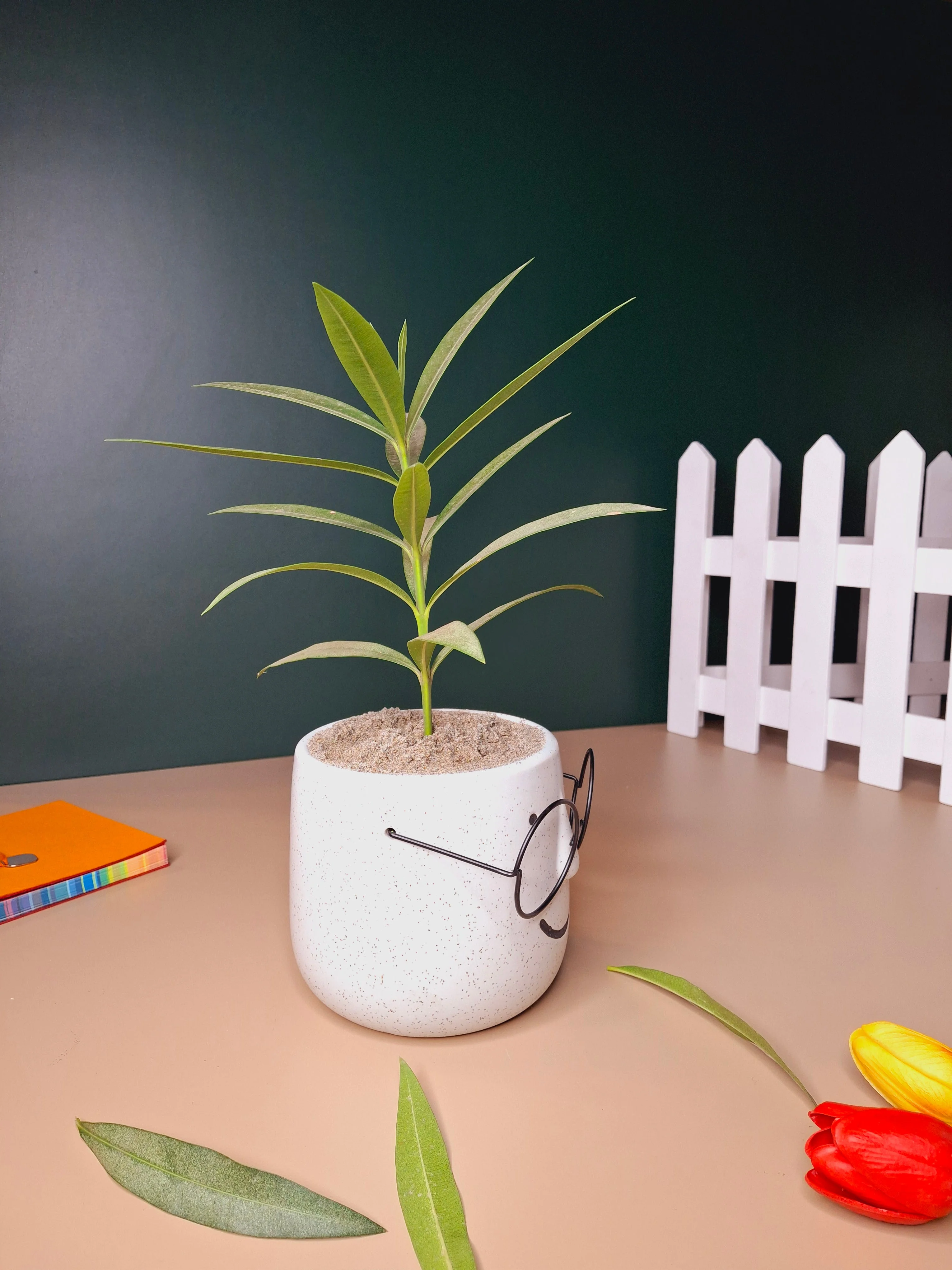 The Prodigy Planter - Image 7