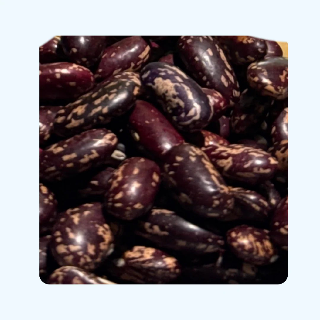 Thiya Joshimath Rajma | Premium High-Altitude Kidney Beans | Himalayan Pulses | Uttarakhand - Image 3