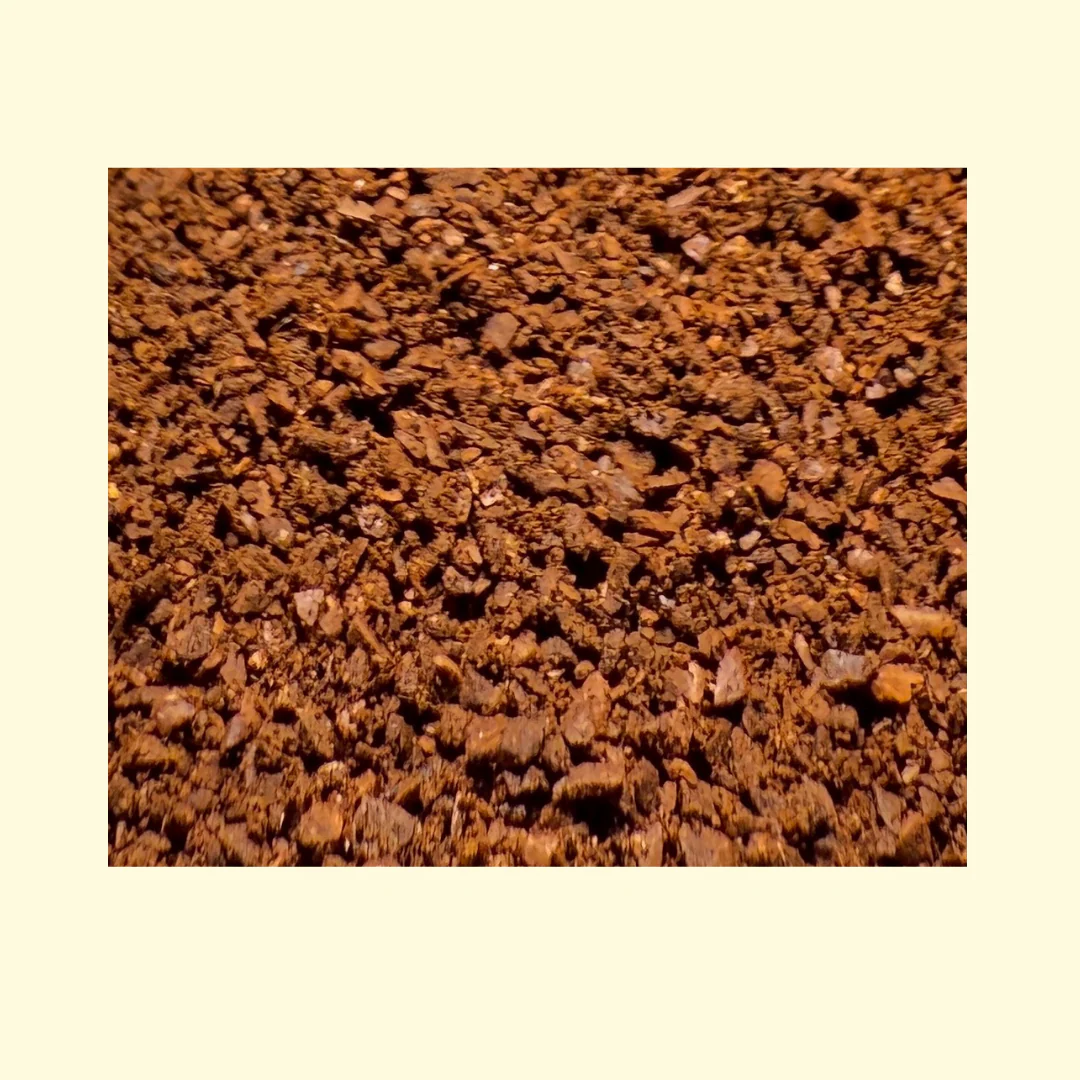 Thiya's Himalayan Coffee | Sikkim's Finest | Premium Arabica Coffee | Medium Grind - Image 3