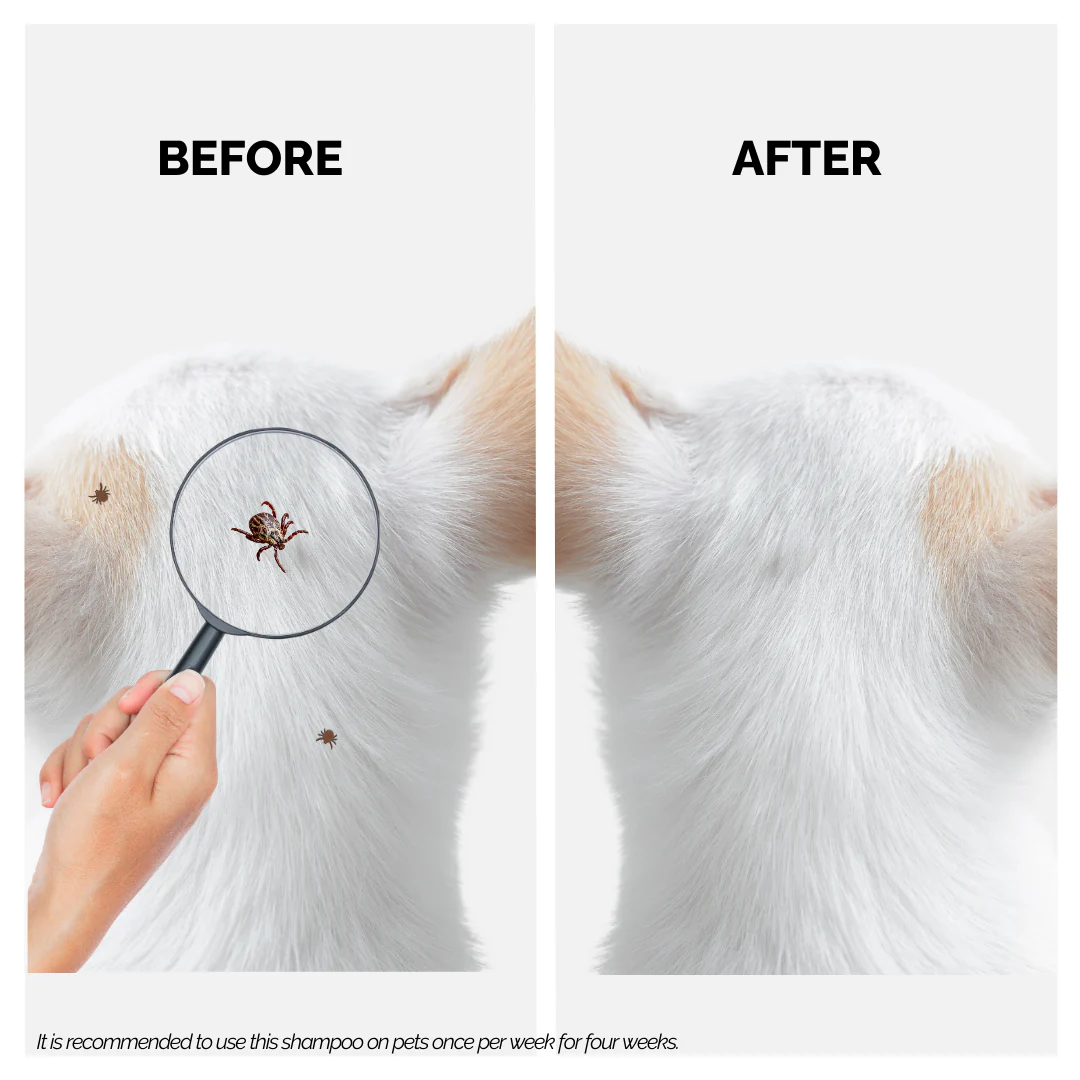 Tick Defense - Tick Free Shampoo for Dogs and Cats - Image 4