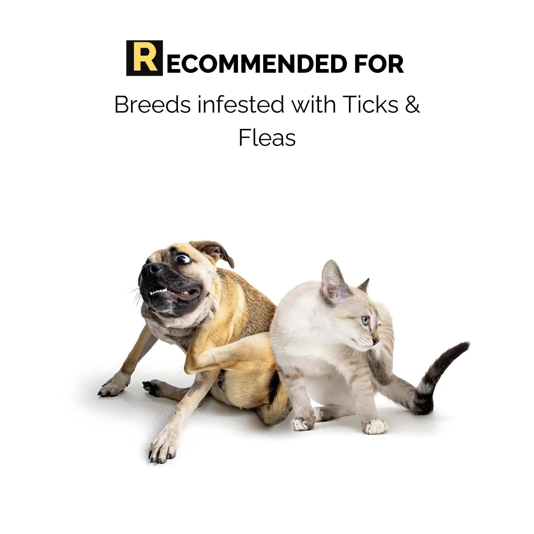 Tick Spray and Shampoo Combo - Best Tick and flea for Dogs and Cats - Image 3