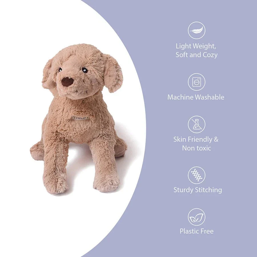 Truffle Dog Soft Toy For Kids - Image 9