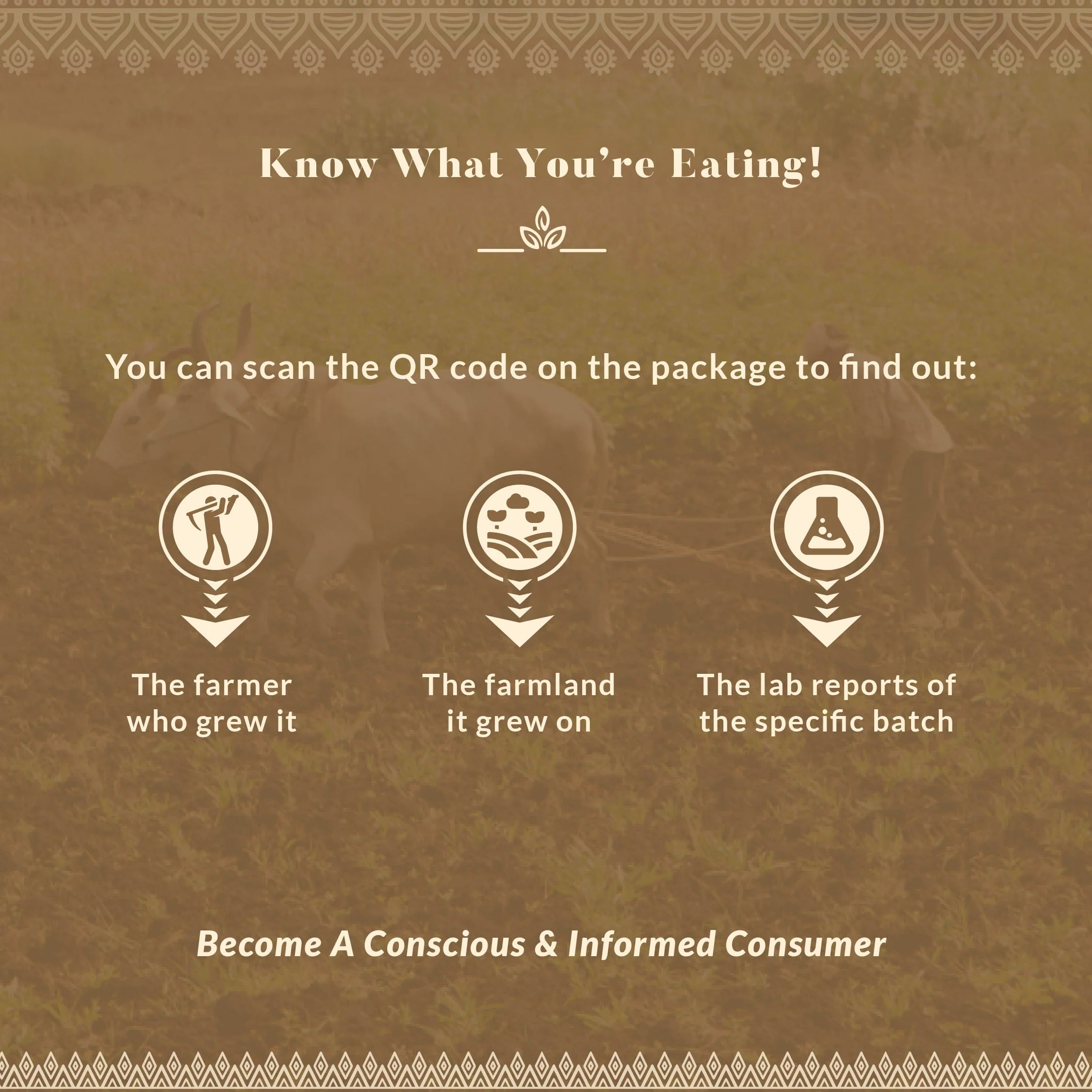 Turmeric Powder - Image 16