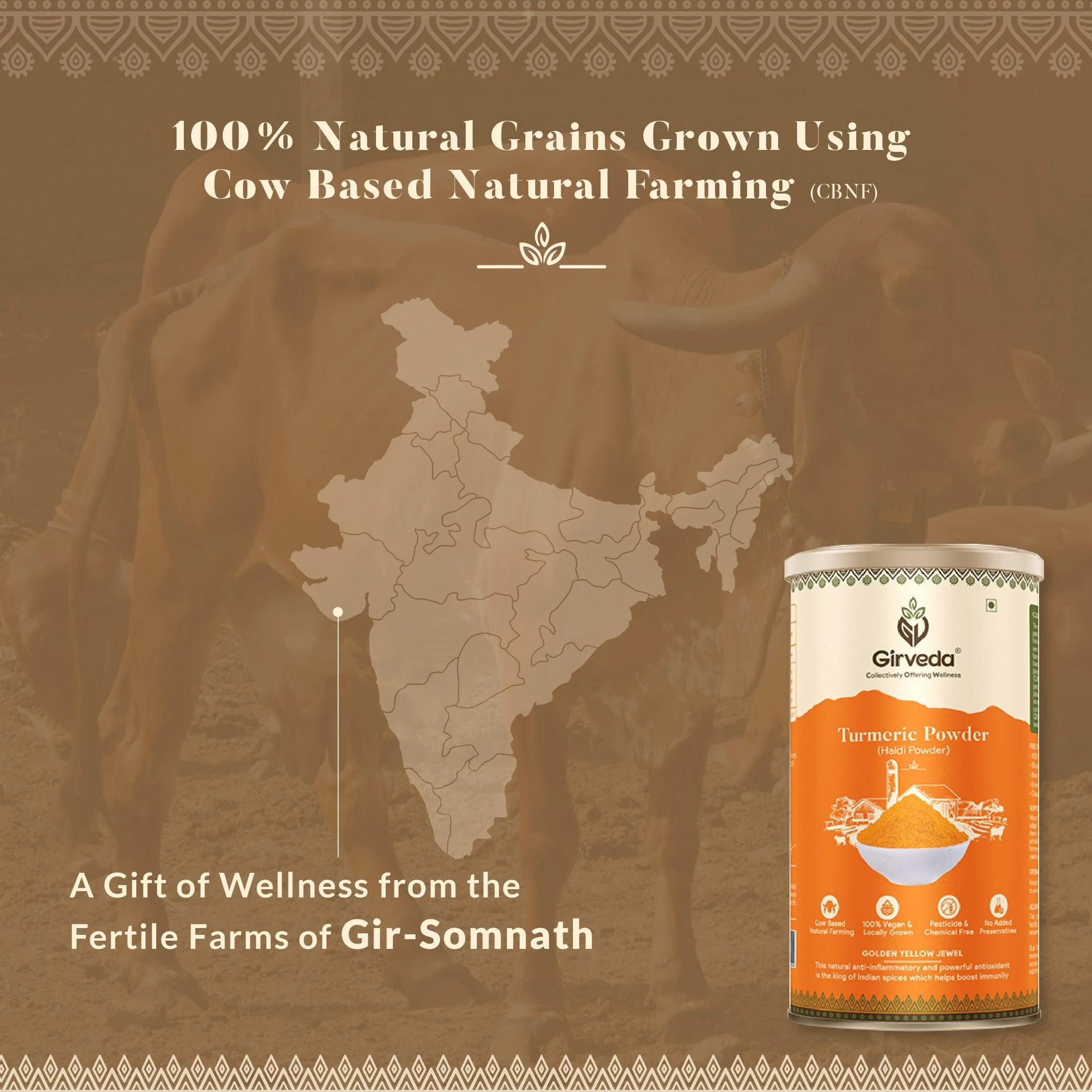 Turmeric Powder - Image 5
