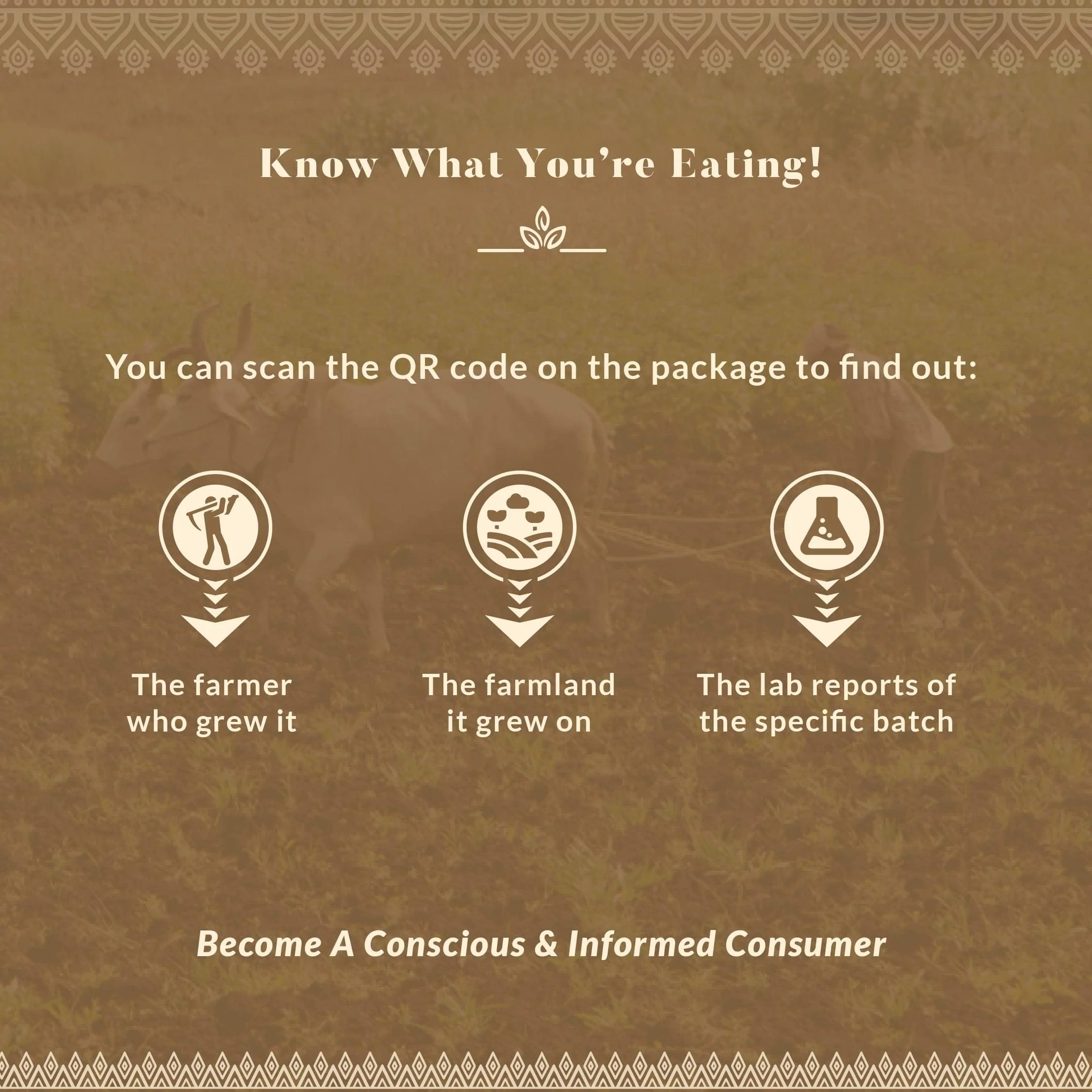 Turmeric Powder - Image 6
