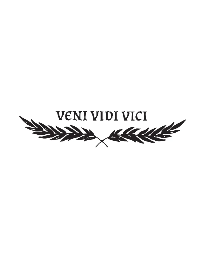Veni Vidi Vici - Image 7