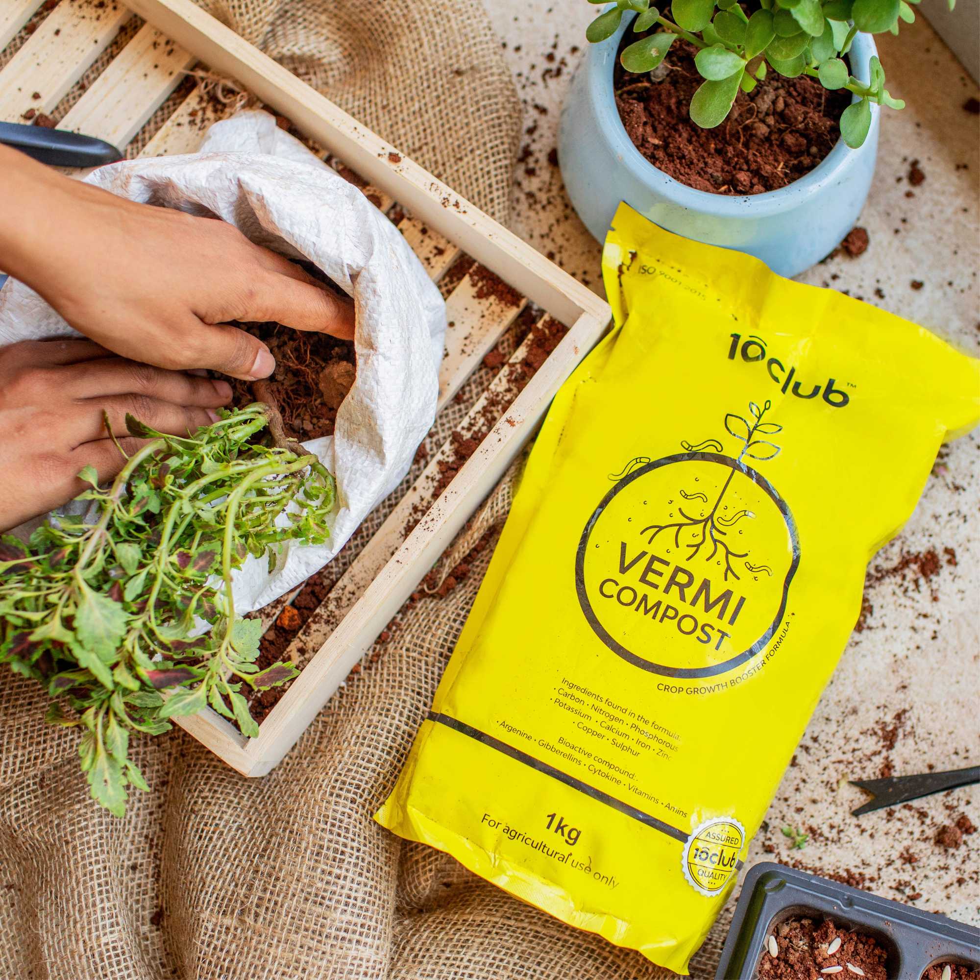 Vermicompost | Organic Fertilizer - Image 15