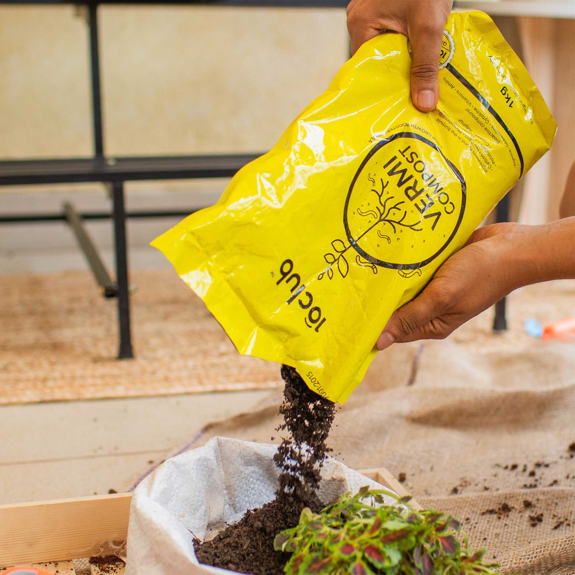 Vermicompost | Organic Fertilizer - Image 2