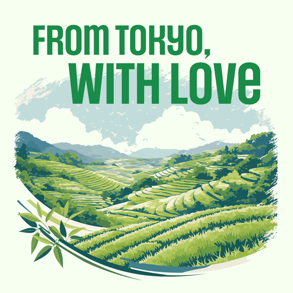 WHEY PROTEIN PRO BLEND | Matcha - Image 8