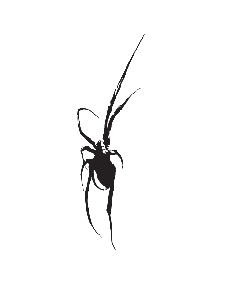 Widow Shadow - Image 9